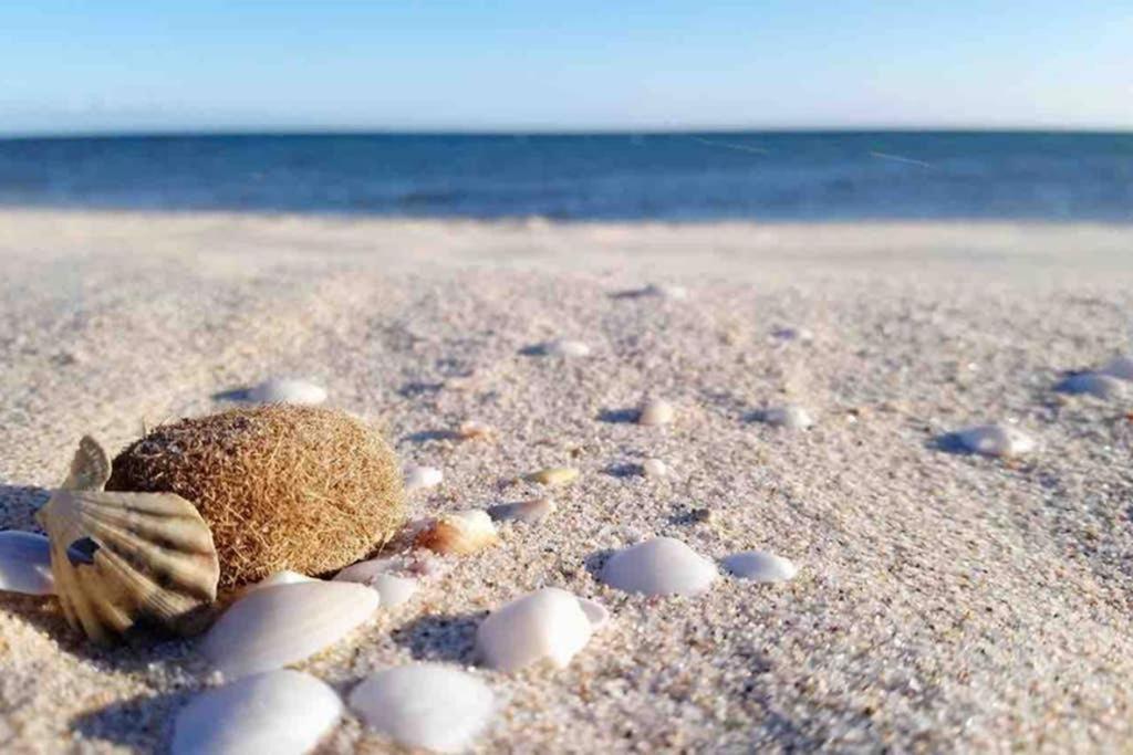 Accogliente Casetta A Calaverde, Pula. Dış mekan fotoğraf